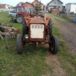 Cjepac s vladimircem t25