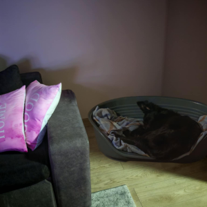 Čuvanje kućnih ljubimaca BARBY PET