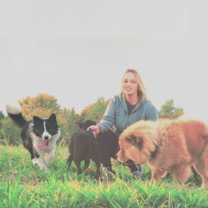 Čuvanje kućnih ljubimaca BARBY PET