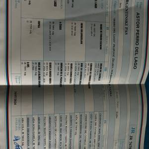 Dogo Argentino štenci