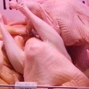 Domaća svježa Zagorska purica 3 - 6 kg dostava na kućnu adresu kupca