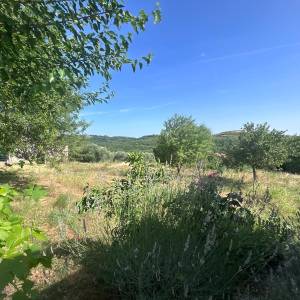 Ekskluzivno istarsko imanje 7.500 m² – 270 m² kuće + 2 objekta