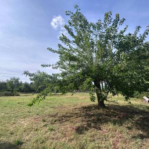 Ekskluzivno istarsko imanje 7.500 m² – 270 m² kuće + 2 objekta
