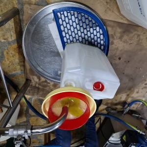 EXTRA DJEVIČANSKO MASLINOVO ULJE (berba 2025)