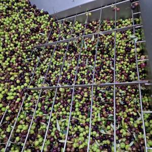 EXTRA DJEVIČANSKO MASLINOVO ULJE (berba 2025)