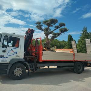 Kamion sa dizalicom za prijevoz strojeva