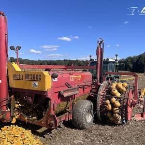 Kombajn za buče Moty 2000