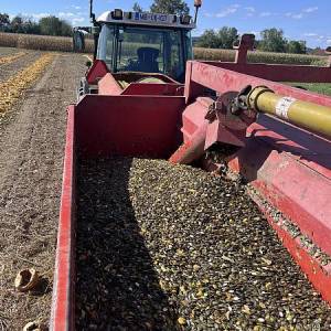 Kombajn za buče Moty 2000