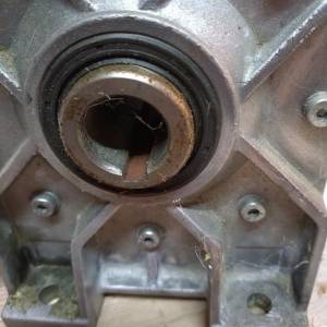 Monofazni motor sa reduktorom