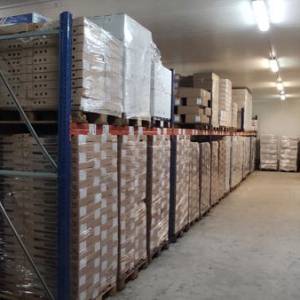 NAJAM SKLADIŠNI PROSTOR HLADNJAČA Metković 700 m2 (iznajmljivanje)