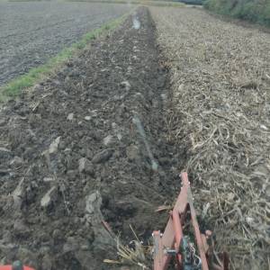 Plug imt 12 cola visoki