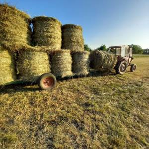 PRIKOLICA ZA ROLOBALE