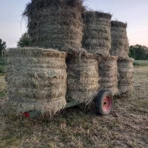 PRIKOLICA ZA ROLOBALE