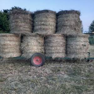 PRIKOLICA ZA ROLOBALE