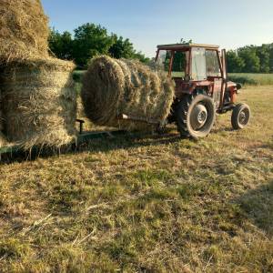 PRIKOLICA ZA ROLOBALE