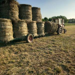 PRIKOLICA ZA ROLOBALE