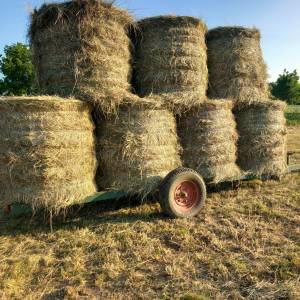 PRIKOLICA ZA ROLOBALE