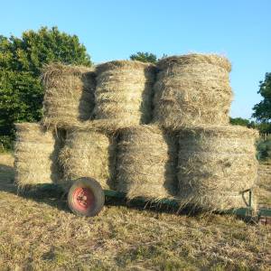 PRIKOLICA ZA ROLOBALE