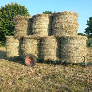 PRIKOLICA ZA ROLOBALE