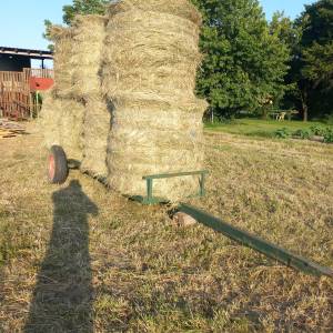 PRIKOLICA ZA ROLOBALE