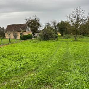 Prodaja imanja sa kućom, voćnjakom, poljoprivrednim zemljištem i šumom