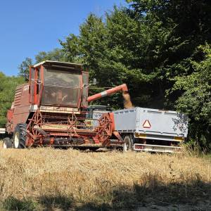 Prodaje se kombajn Fahr M 1000