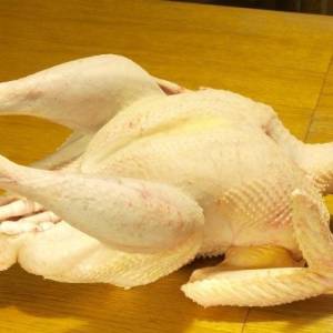 Prodajem Domaće božićne purice 2,5 - 6 kg dostava na kućnu adresu