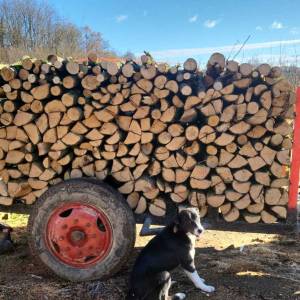 Prodajem drva za ogrijev