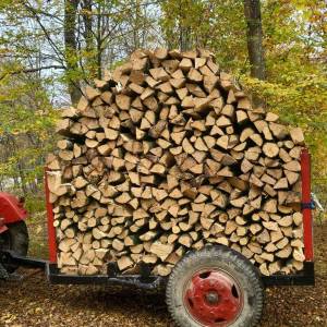 Prodajem drva za ogrijev