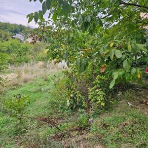 Prodajem kuću/vikendicu