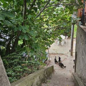 Prodajem kuću/vikendicu