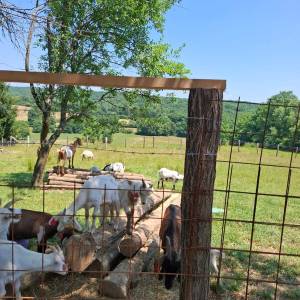 prodajem seoskom imanje