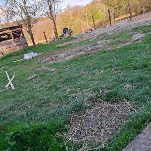 prodajem seoskom imanje