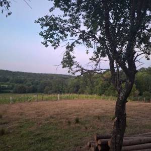 prodajem seoskom imanje