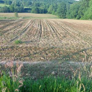 prodajem seoskom imanje