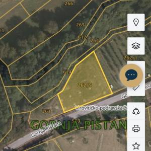 Prodajem zasad mladih orasa.