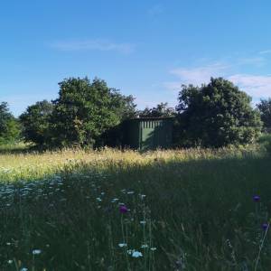 Rovinj poljoprivredno zemljište