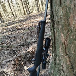 Sauer 101 XT 30.06