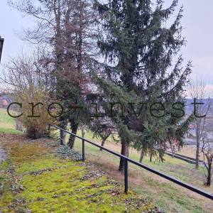 Topusko, kuća sa okućnicom, idealna za više namjena