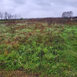 Zemljište Ježdovec