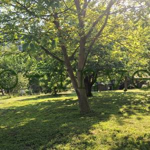 Zemljište sa postojećim starijim objektima