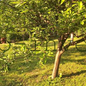 Zemljište sa postojećim starijim objektima