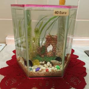 Akvarij kugla sa ribicama