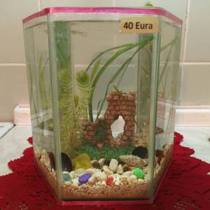 Akvarij šesterokutni, 19 litara