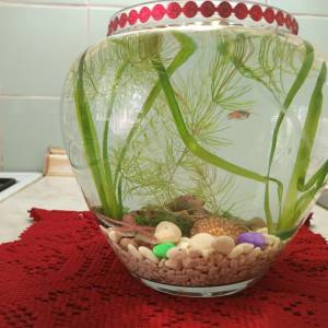 Akvarij šesterokutni