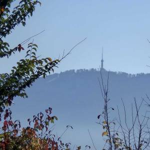 Građ. zemljište - Zaprešić - Luka - Pluska - 1472 m2