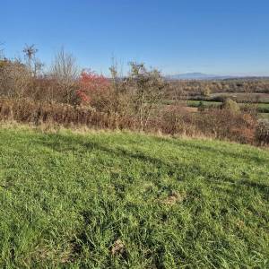 Građ. zemljište - Zaprešić - Luka - Pluska - 1472 m2