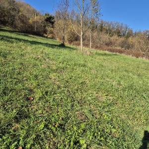 Građ. zemljište - Zaprešić - Luka - Pluska - 1472 m2