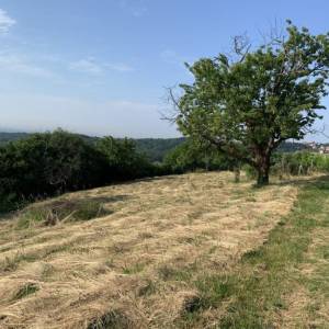 PODSLJEME - BAČUN - Građevinsko zemljište 1998 m2 - s pogledom!