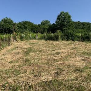 PODSLJEME - BAČUN - Građevinsko zemljište 1998 m2 - s pogledom!